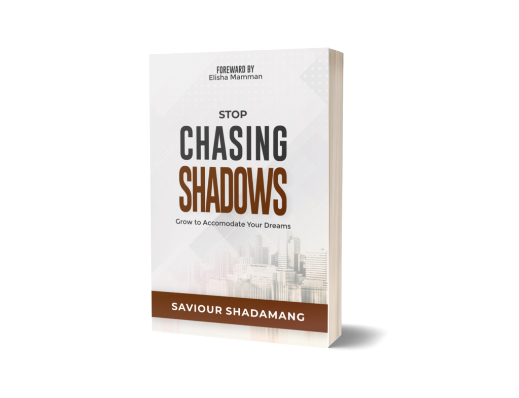 Stop Chasing Shadows - Saviour Shedamang