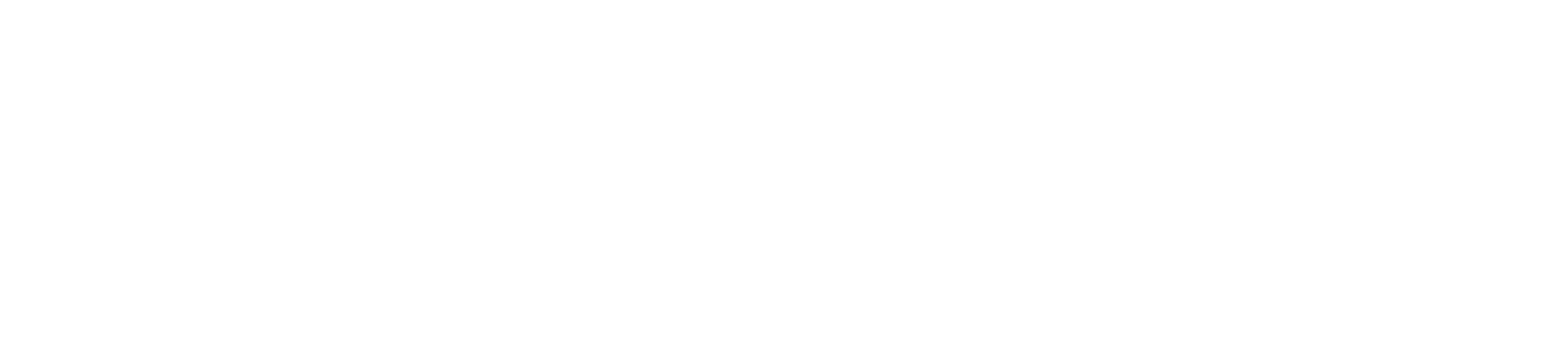 saviour shedamang - logo